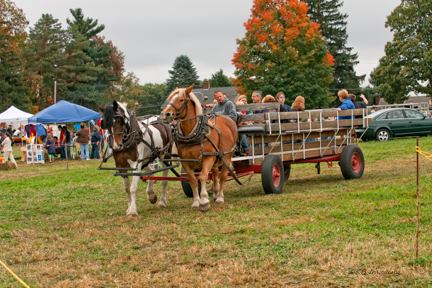 Horses and Wagons